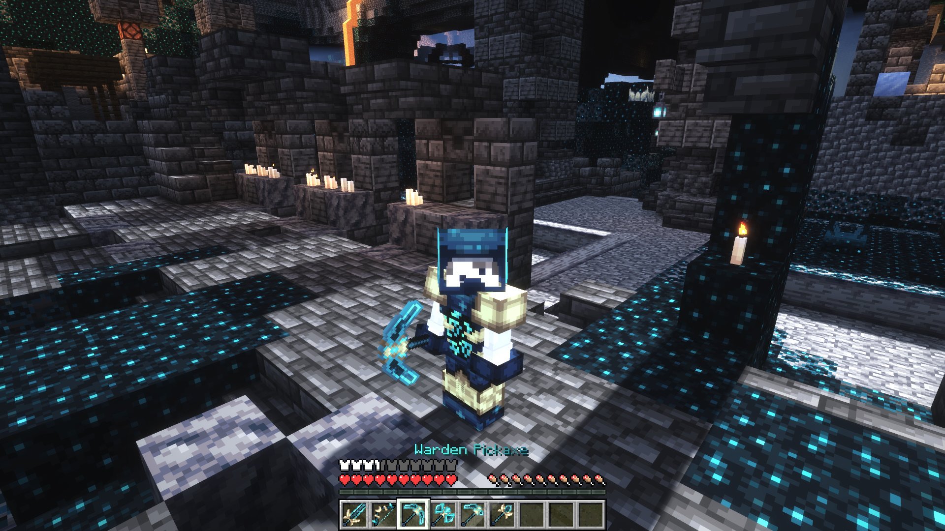 Warden Set Warden Set