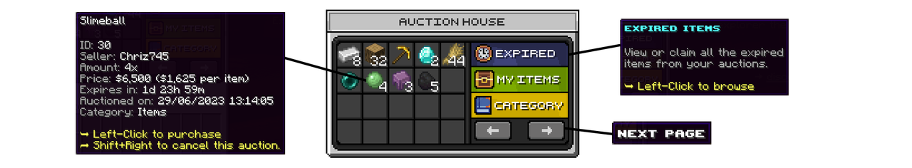 auction1.png