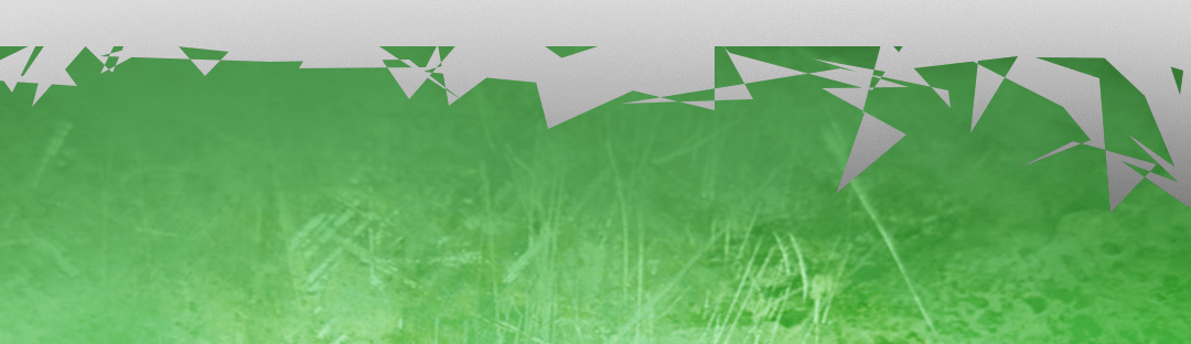 bas.png