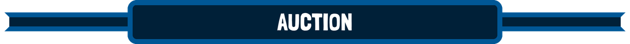 auction.png