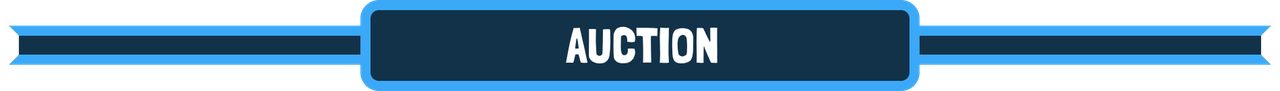 auction.png