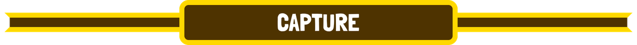 capture.png