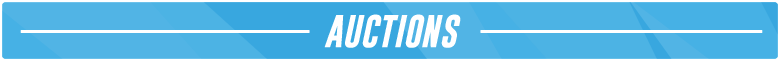 Section-Headers-Setup-Thread-2021_Auctions.png