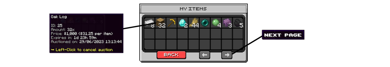 auction2.png