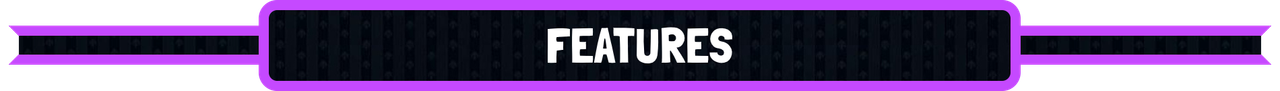 features.png