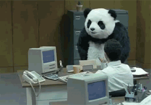 43524_s.gif