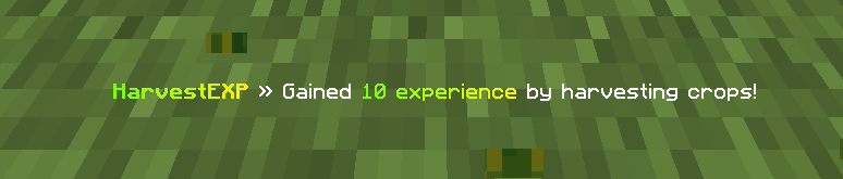 showcase.png