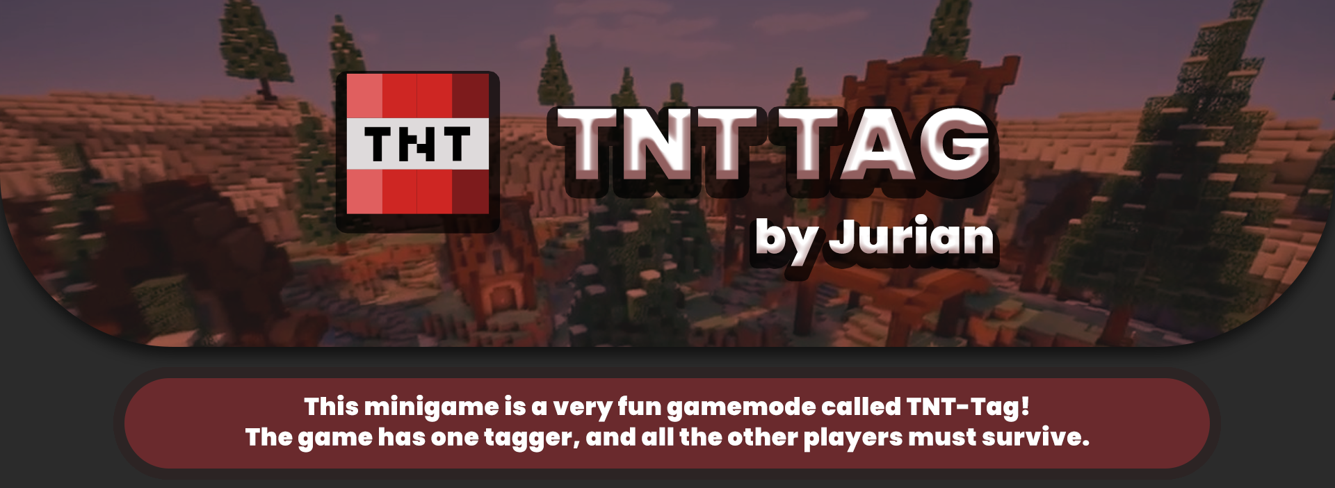 Minecraft Tag