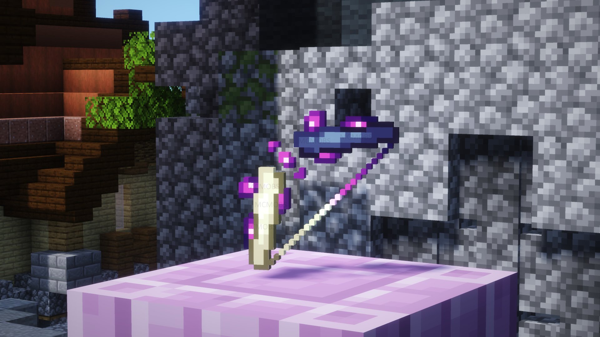 Ender Dragon Set