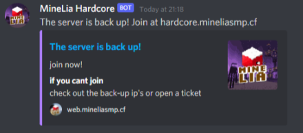 plus-showcase2.png