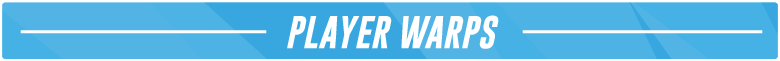 Section-Headers-Setup-Thread-2021_Player-Warps.png